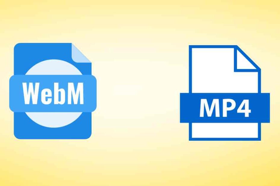 webm vs mp4